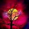 Picture for song 'Till I met you' by artist 'e-Blues'