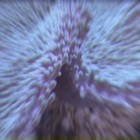 Picture for song 'Ankhôr part 1' by artist 'Eddy Lemaire'