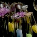 Picture for song 'Glass Trip ==== Free Download ====' by artist 'Ed Faris Beats'