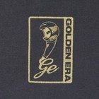 Picture for song 'EJakBeats- Golden' by artist 'EjakBeats'