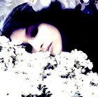 Picture for song 'What I'm Dreaming Of' by artist 'Electric Angels'