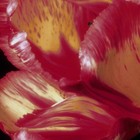 Picture for song 'The Rise' by artist 'Electric Larry'