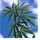 Picture for song 'When I'm So High' by artist 'el Nako'