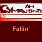 Song picture