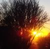 Picture for song 'Little Piper (#211)' by artist 'Erling Gunnarsson'