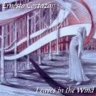 Picture for song 'Leaves In The Wind' by artist 'Ernesto Cortazar'