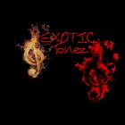 Picture for song 'LOW' by artist 'Exotictonez Productions'