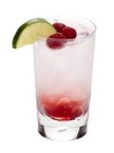 Picture for song 'vodka in my cranberry.mp3' by artist 'FAM3 MUSIC'