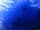 Picture for song 'Shape of Sense' by artist 'Faro Lounge'