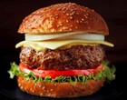 Picture for song 'BEEF BURGER FOR BRAIN SICKNESS' by artist 'FBI THE VERBAL PROPHETZ'