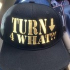 Picture for song '*NEW* TurnDownFaWhat(Hook by fedarro) COLLAB' by artist 'Fedarro'
