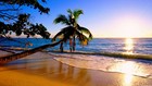 Picture for song 'Paradise(Hook by Fedarro) Collab' by artist 'Fedarro'