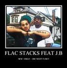 Picture for song 'ONE NIGHT FLINGY' by artist 'FLAC STACKS'