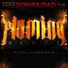 Picture for song '''Paradise'' 83BPMZouk' by artist 'Flaming Beats'