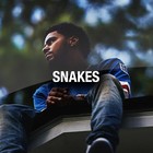 Picture for song 'SNAKES' by artist 'FlashBeats.net'