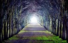 Picture for song 'Into The Light' by artist 'FlatlineBeats'