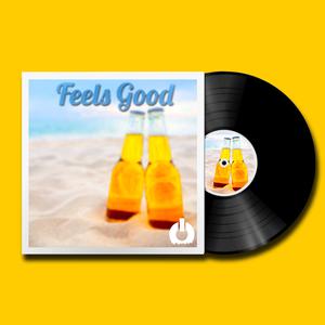 Picture for song 'Feels Good (BUY 1 GET 1 FREE) FlowSwitchMusic.com' by artist 'Flow Switch'