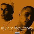 Picture for song ''Do It'' by artist 'Fly y Polzino'