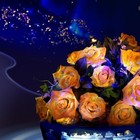 Picture for song 'FF-26MART14' by artist 'Real-FF'