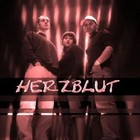 Picture for song 'Fremd in der Heimat' by artist 'franknstain'
