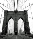 Picture for song 'Why' by artist 'Fred Seghetti'