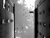Picture for song 'Be Free' by artist 'Freemind'
