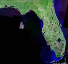 Picture for song 'From Plant City 2 Sarasota' by artist 'Freestyle Holics'