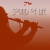 Picture for song 'Breathe Deep' by artist 'Fretwell Flutes'