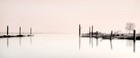 Picture for song 'Calm Mist' by artist 'FutureOdysseiaProductions'