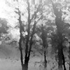 Picture for song 'Paralyzed By the Weather' by artist 'gawker slowdown'
