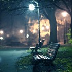 Picture for song 'Valentine - *Sad* Falling Leaves | ft. Jurrivh' by artist 'German Era Records'