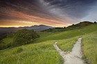 Picture for song 'Fork In The Road' by artist 'Gerry Casey'