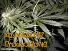 Picture for song 'Glenoz187 Break Beat Mayhem' by artist 'Glen0z187'