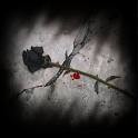 Picture for song '-* Bleeding Roses *-' by artist 'Golden Gramz'