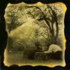 Picture for song 'The Tears' by artist 'GuGyBeatz'