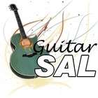 Picture for song 'Shake Up the World' by artist 'Guitar Sal'