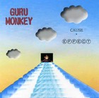 Picture for song 'Brand New Song' by artist 'Guru Monkey'