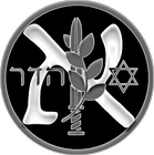 Picture for song 'It Belongs To Us' by artist 'HADAR'