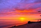 Picture for song 'The Sunrise' by artist 'Hailey Monacko'