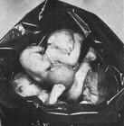 Picture for song 'Abortion Clinic Skit' by artist 'Heavy P213'