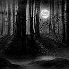 Picture for song '"Trials"' by artist 'HE Himself Productions'