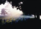 Picture for song 'Quelly Q - Rest in peace remix' by artist 'herb'