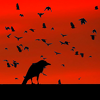 Picture for song 'Das Parlament der Kraehen' by artist 'Holy'