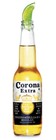 Picture for song 'My Corona (2009)' by artist 'HOODY'
