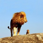 Picture for song 'YOUNG KING KHAYLIQNAJAH-"YOUNG KINGZ(RE 5:10KJV)"' by artist 'HOUSE OF LAWYA MUSIC'