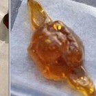 Picture for song 'shatter dabs' by artist 'Hustle Payper on the beat'