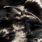 Picture for song 'Valley - 'Out In The Rain' feat. Kaotik' by artist 'iAmKaotik'