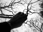 Picture for song 'Within you,without you' by artist 'Ian MacQueen'