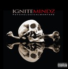 Picture for song 'Natural High' by artist 'Ignite Mindz'