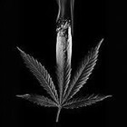 Picture for song 'Rockin roll sh**' by artist 'Imperial Traxxx'